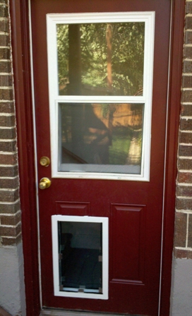 Dog Door Installed through a People Door with Glass Above